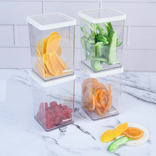 Nicola Food Storage Container