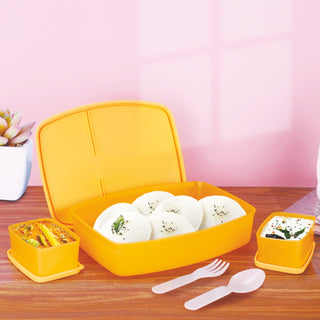 Witty Big Regular Lunch Box, set of 3 Orange