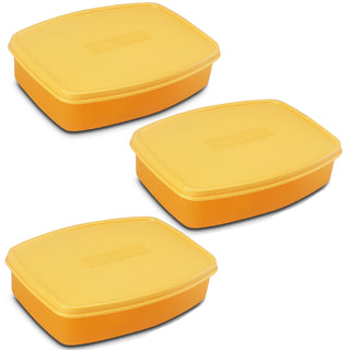 Witty Big Regular Lunch Box, set of 3 Orange