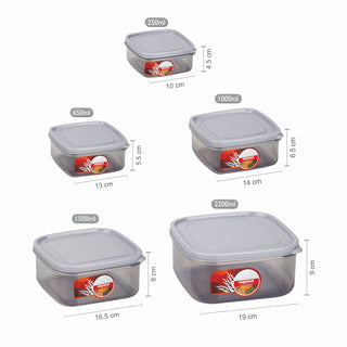 Easy Clear Food Storage Container, Set of 5 Grey