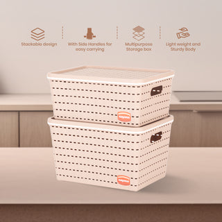 Gloria Basket Set of 2 Peach / Medium + Big