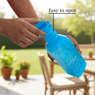 Deluxe Square Plastic Bottle, Set of 2, 1000 ml Blue