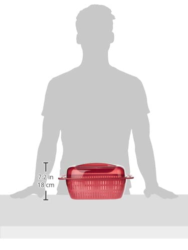 Rectangular Fruit & Vegetable Strainer