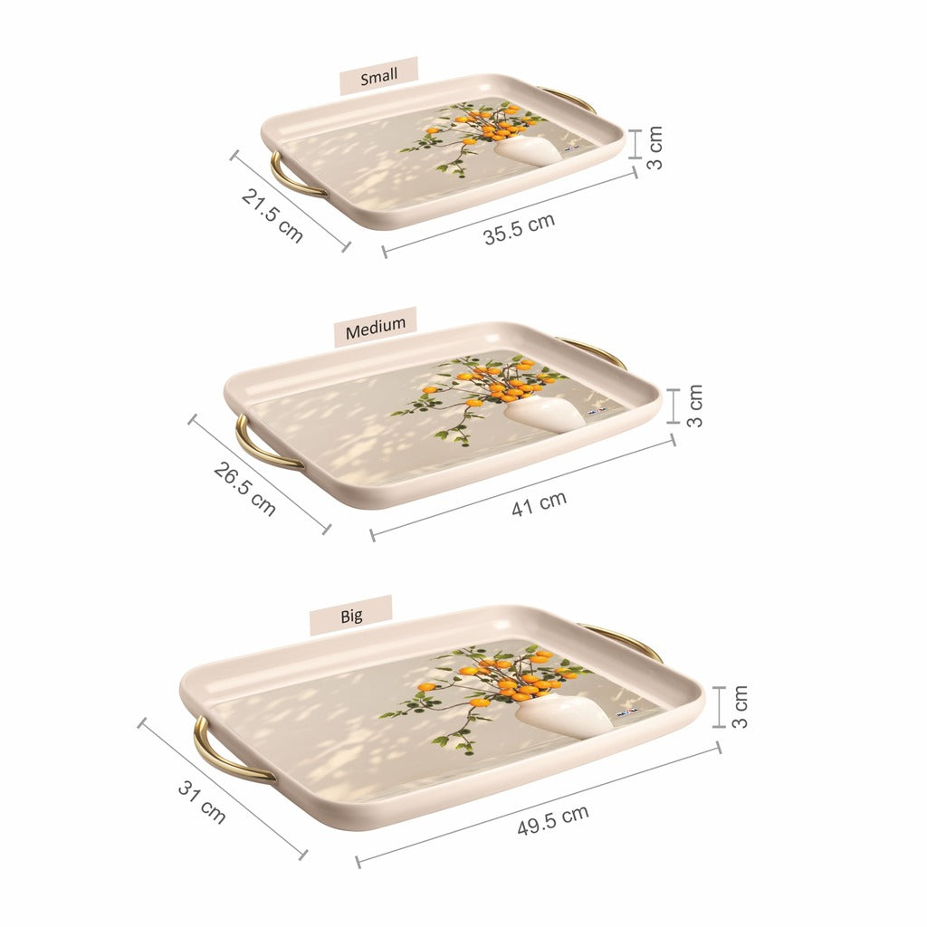 Prosper Tray set of 3 | S + M + B |