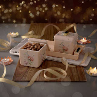 Miracle Dry Fruit Container Set of 2