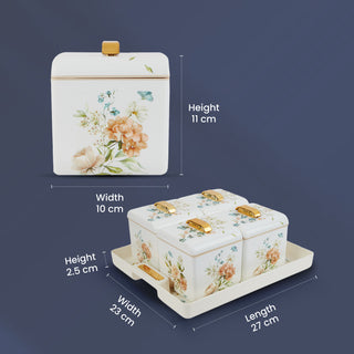 Miracle Dry Fruit Container Set of 4