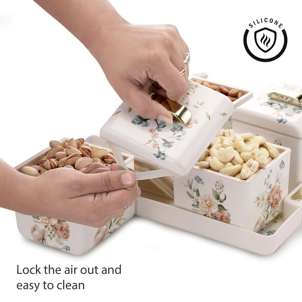 Miracle Dry Fruit Container Set of 4