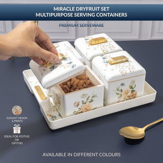 Miracle Dry Fruit Container Set of 4