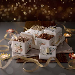 Miracle Dry Fruit Container Set of 4