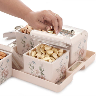 Miracle Dry Fruit Container Set of 4