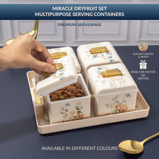 Miracle Dry Fruit Container Set of 4