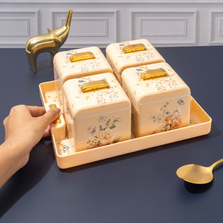 Miracle Dry Fruit Container Set of 4