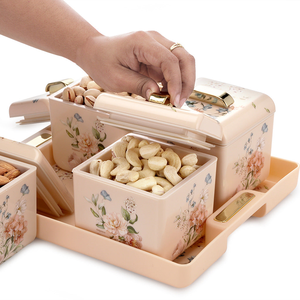 Miracle Dry Fruit Container Set of 4