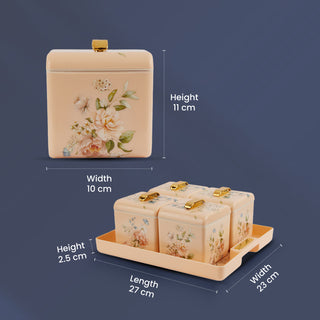 Miracle Dry Fruit Container Set of 4