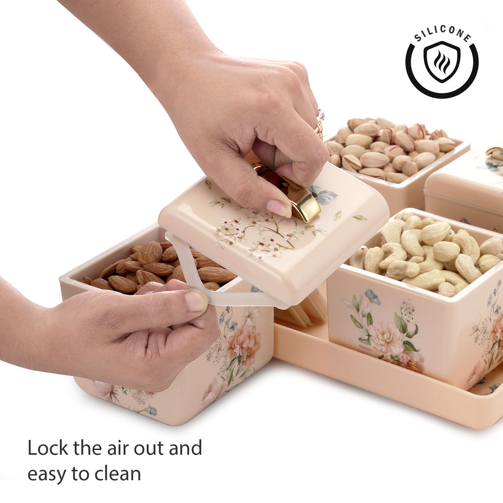Miracle Dry Fruit Container Set of 4
