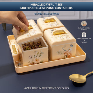 Miracle Dry Fruit Container Set of 4