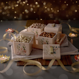 Miracle Dry Fruit Container Set of 4