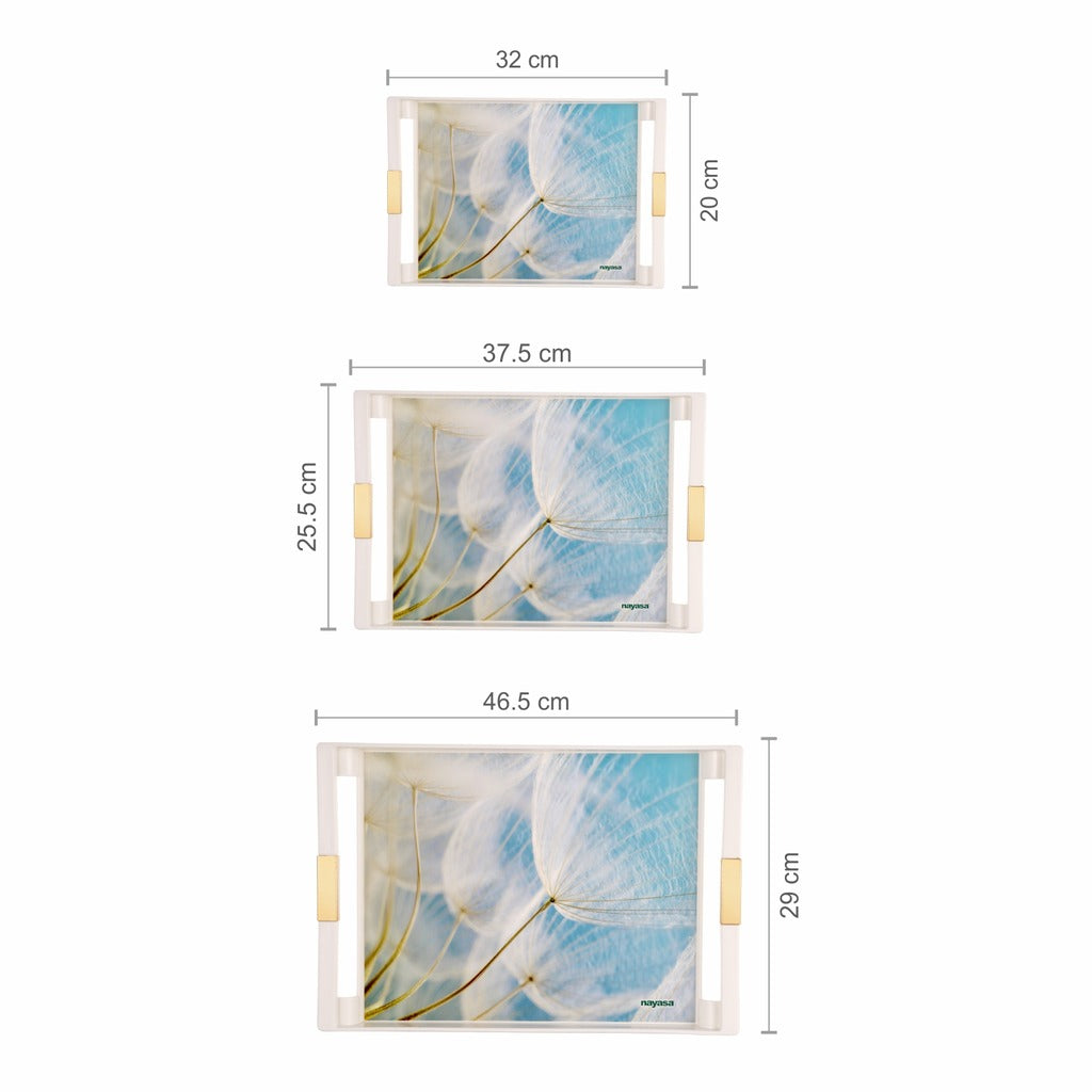 Deco Serving Tray Set Of 3 ( S + M + B )