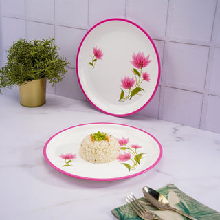 Mircofresh Round Plate Dlx Set Of 6, Pink Quarter