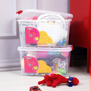 Multipurpose Storage with Lids & Wheels