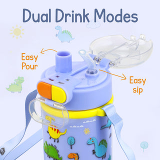 Captain Insulated Water Bottle 650 ML