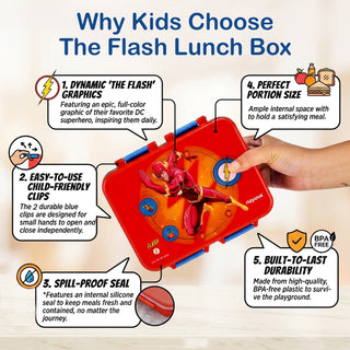 Petro DC Super Heroes Stainless Steel Small Lunch Box