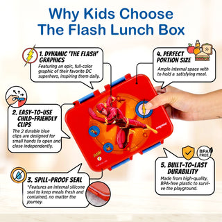 Petro DC Super Heroes Stainless Steel Big Lunch Box