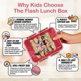 Petro DC Super Heroes Stainless Steel Big Lunch Box