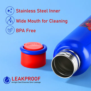 Alpine Insulated Water Bottle – 550 ml