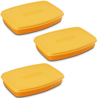Witty Mini Regular Lunch Box Orange / Set of 3